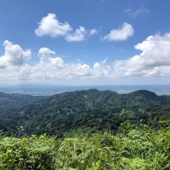 久しぶりの萱峠。
春に来て以来。
