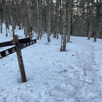 鳳凰山・地蔵岳・観音岳・薬師岳 苺平は踏み跡外すと時間によってはズボるかも…