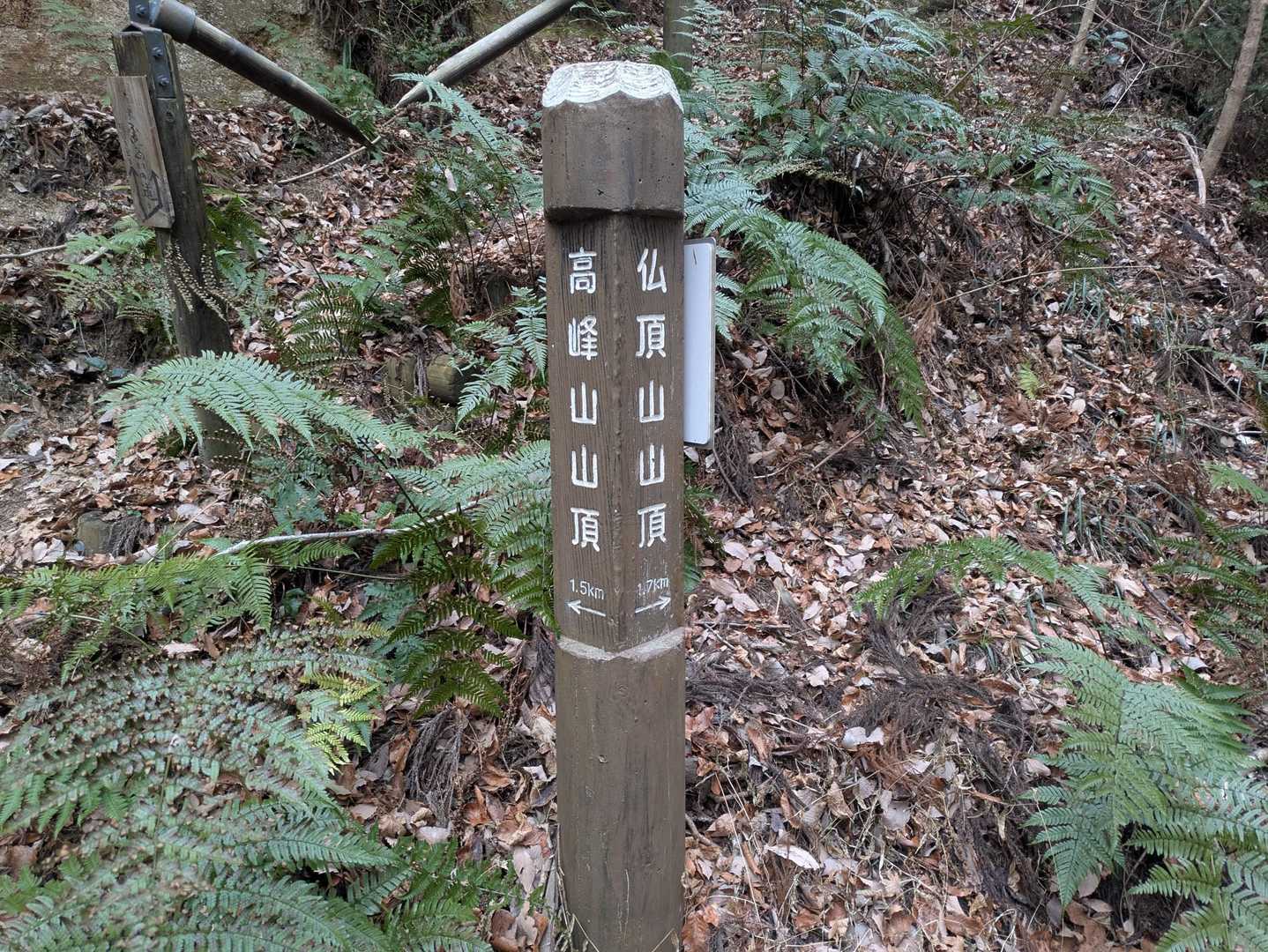 ここの切り返し　ぼ〜としてると　見つからないかも