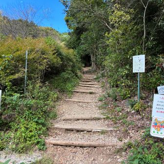 健脚コース登山口から山に入ります