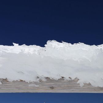 エビのシッポのアップ