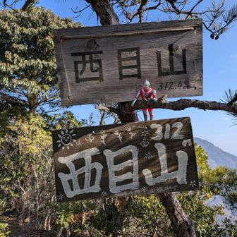 西目山
　　西目山　
　　　　ひつっこいョ😅

☝️さぁ，次は
　　右田ヶ岳向かいますね
　
下山滑らないよう
　　　気を付けて
　　　　行きますよ