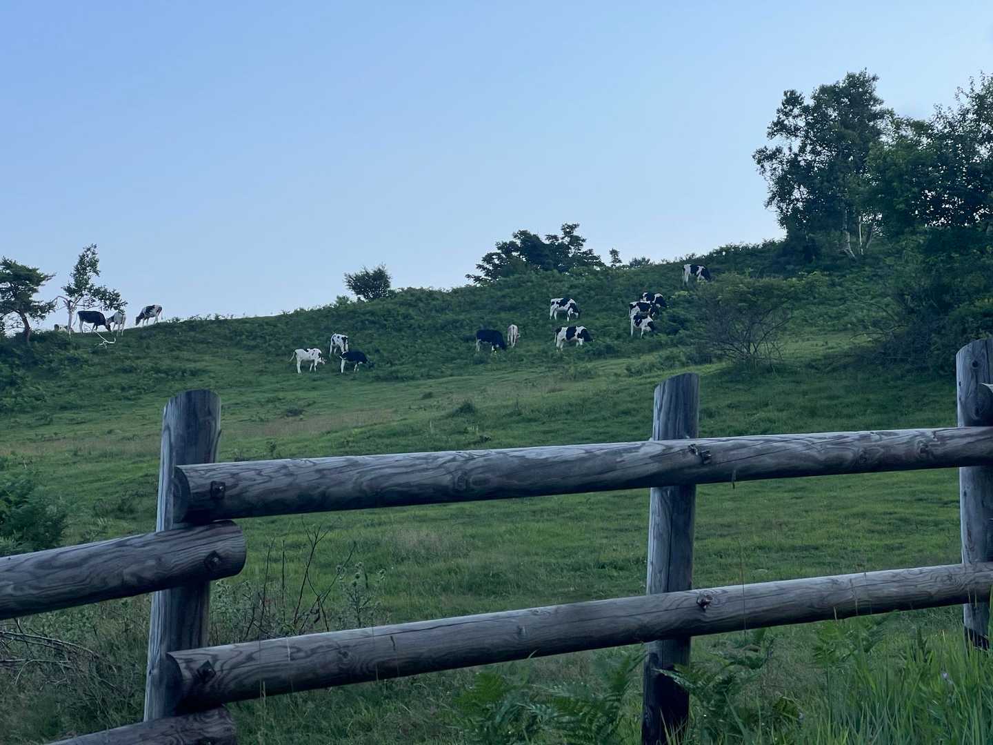 牧場🐮