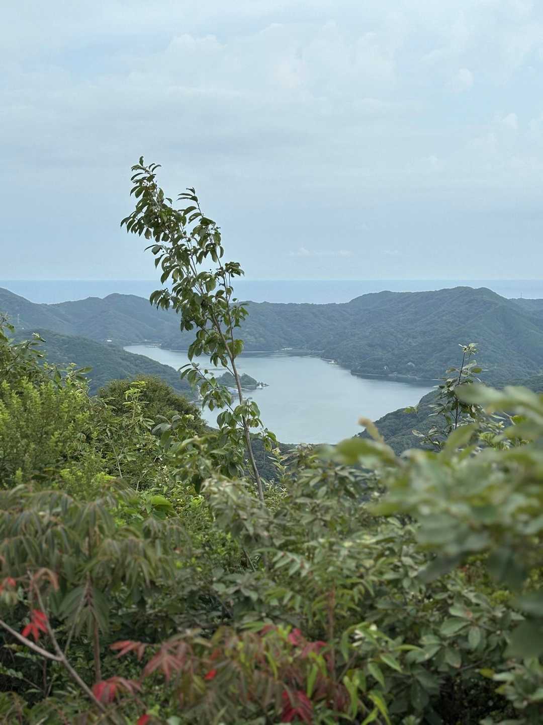 浦ノ内湾