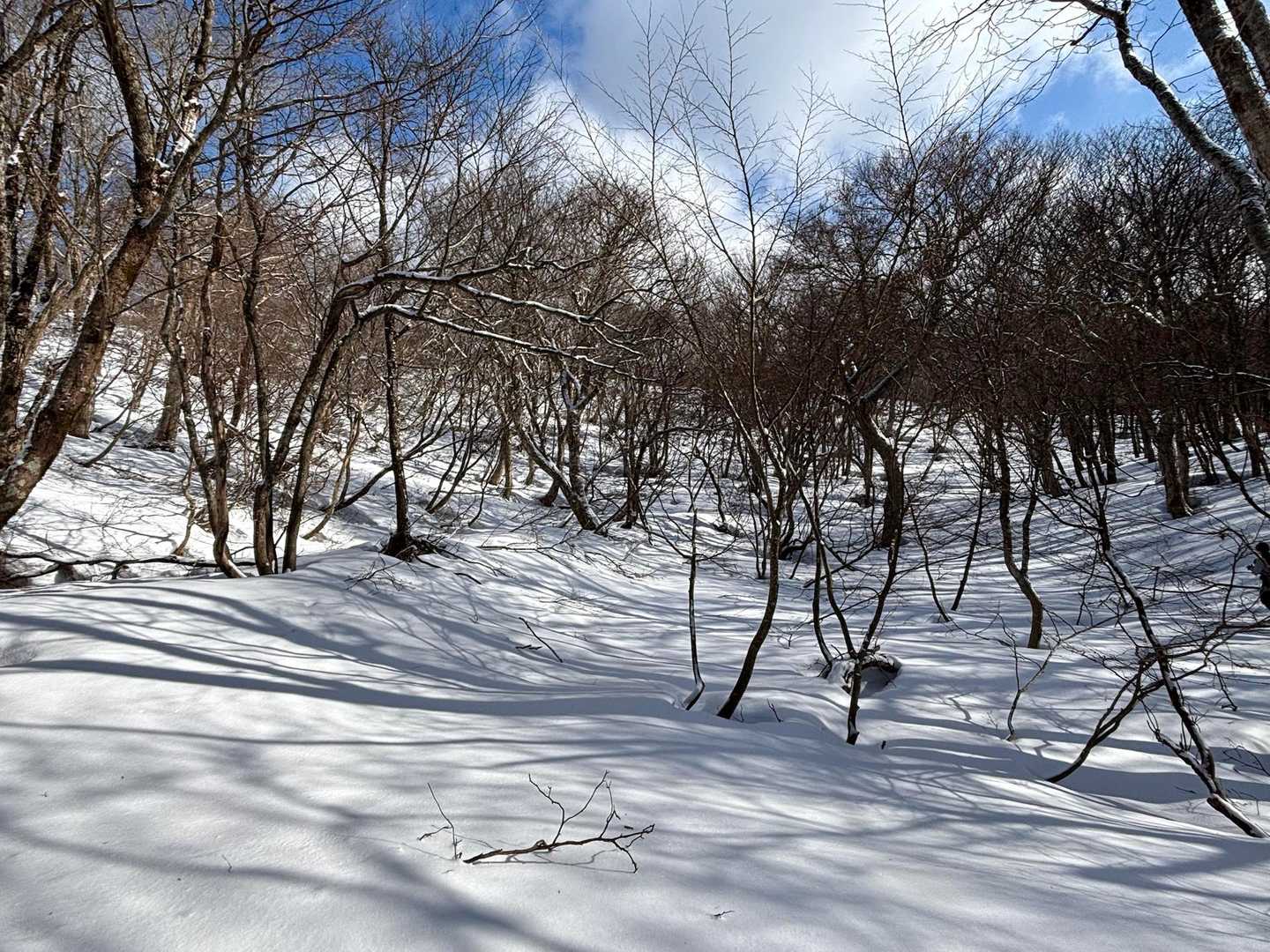 前日、雨雪予報だったがしっかり雪が降ったようだ
おかげで、新雪歩きができるほど積もった