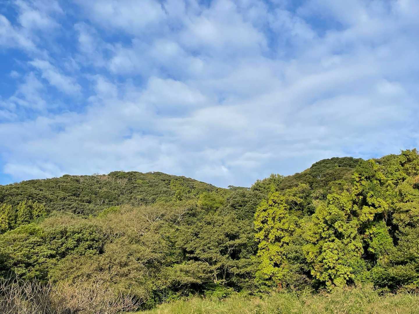 これから登る彦山
低いお山ですが大変なんだろうなぁ💦
天気がよくてよかったです👍