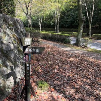 一旦、車道に出て、舗装路をしばらく歩きます。