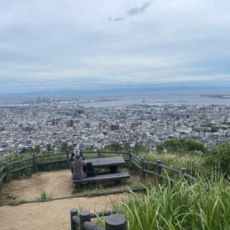 だいぶ降りてきた