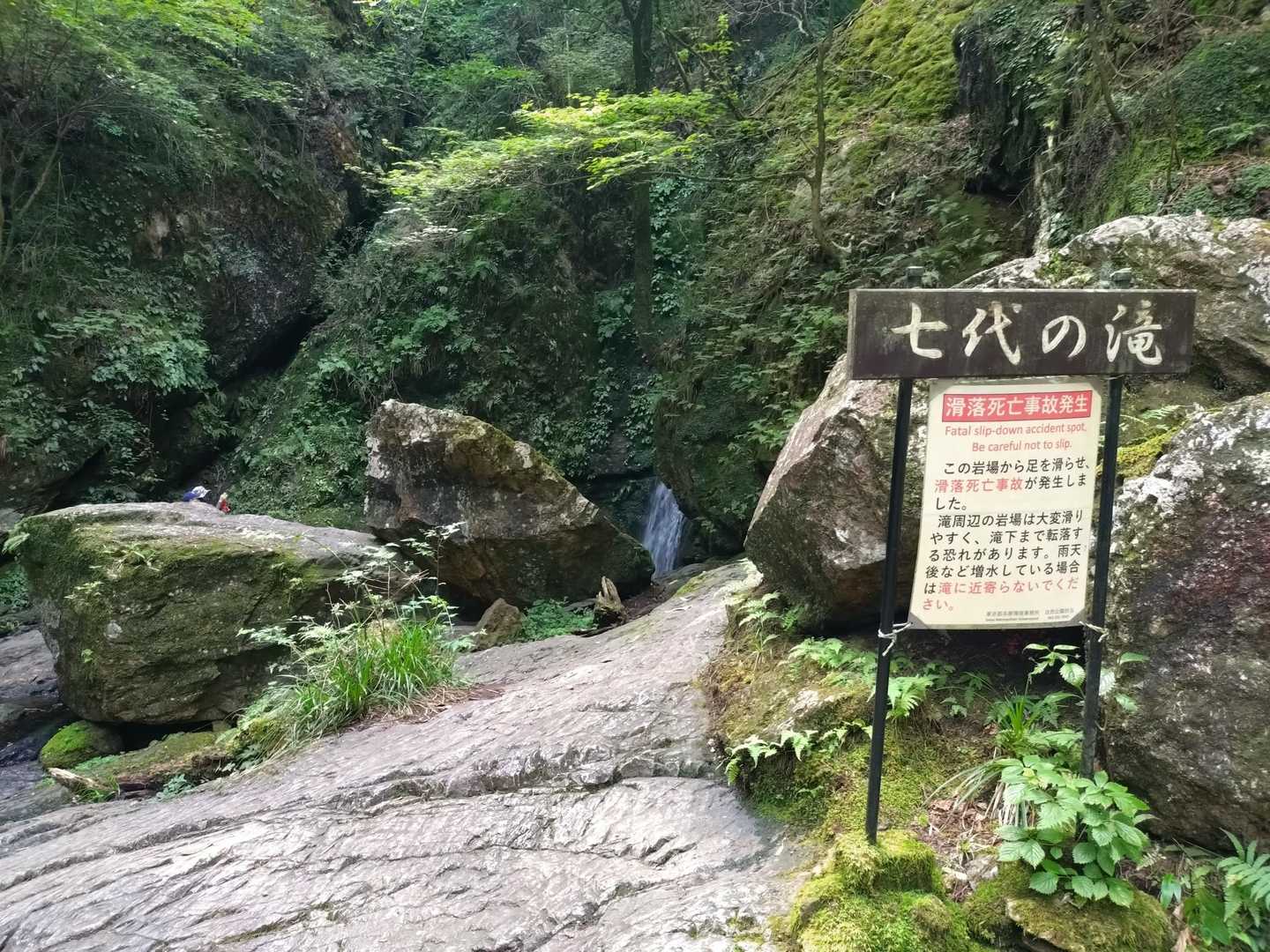 ななよ と読むそうです。