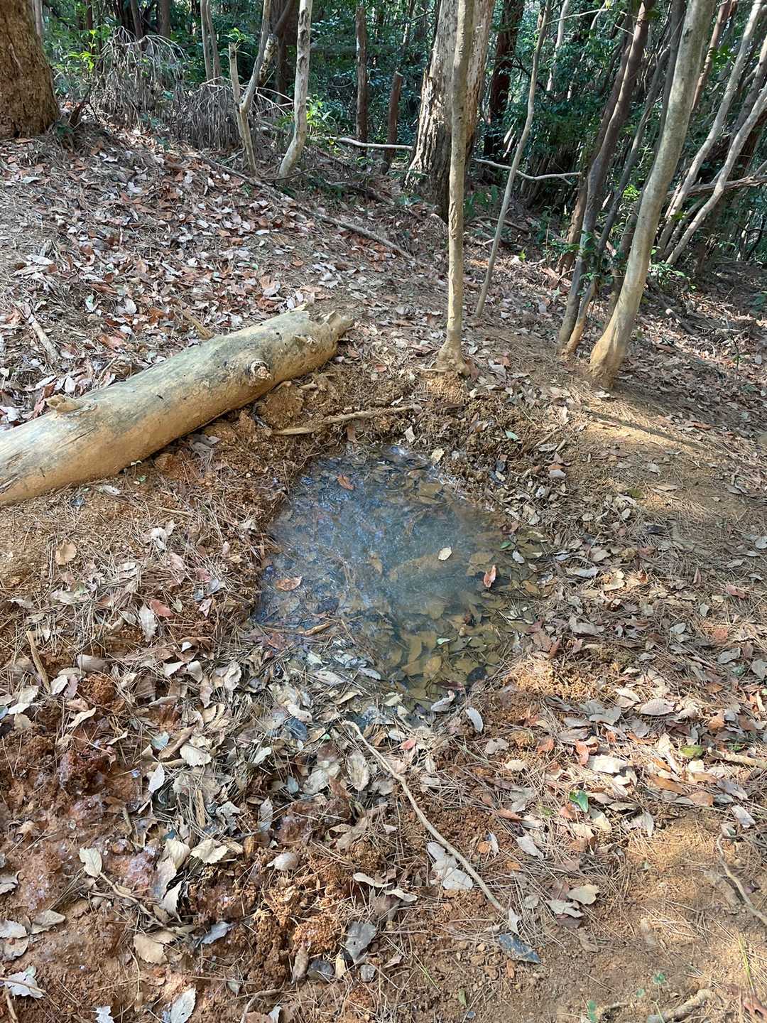 水たまりは凍ってた
吹く風は冷たかった