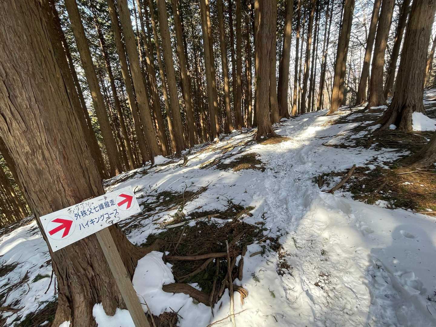 下山も滑り止めで楽々。ここは巻道の方がいいです。看板におすすめ→と書いてあります