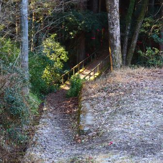 この細い道を入っていきます。