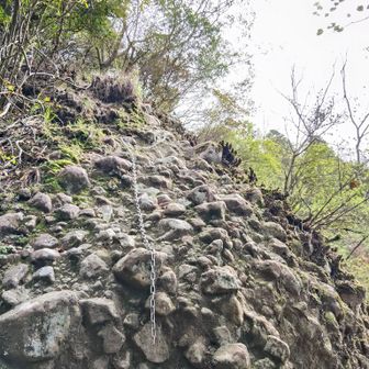こんな登りが何度もあります😄