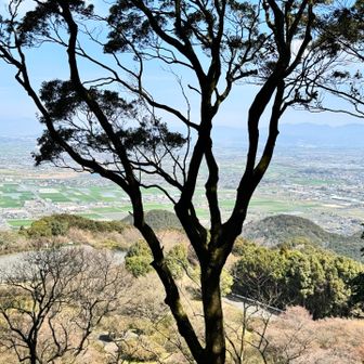 高良山山頂は木の間からの眺望です。