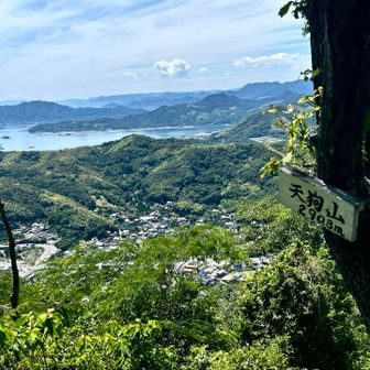 この後、下山だけなのに倒木、倒竹で道を見失いドキドキ💦
倒れた竹をまたいで潜って進んでやっとピンクテープ発見。
あ〜ドキドキした😵‍💫