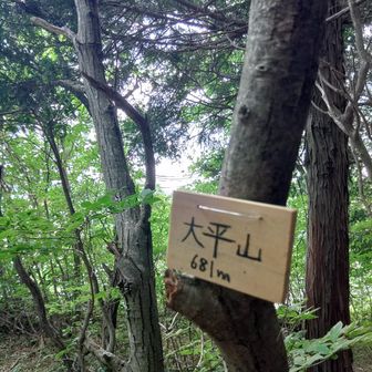 太平山に到着