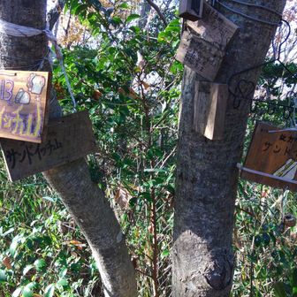 プレートがいっぱい。
もうすぐランチなんでサンドイッチはありません（W）