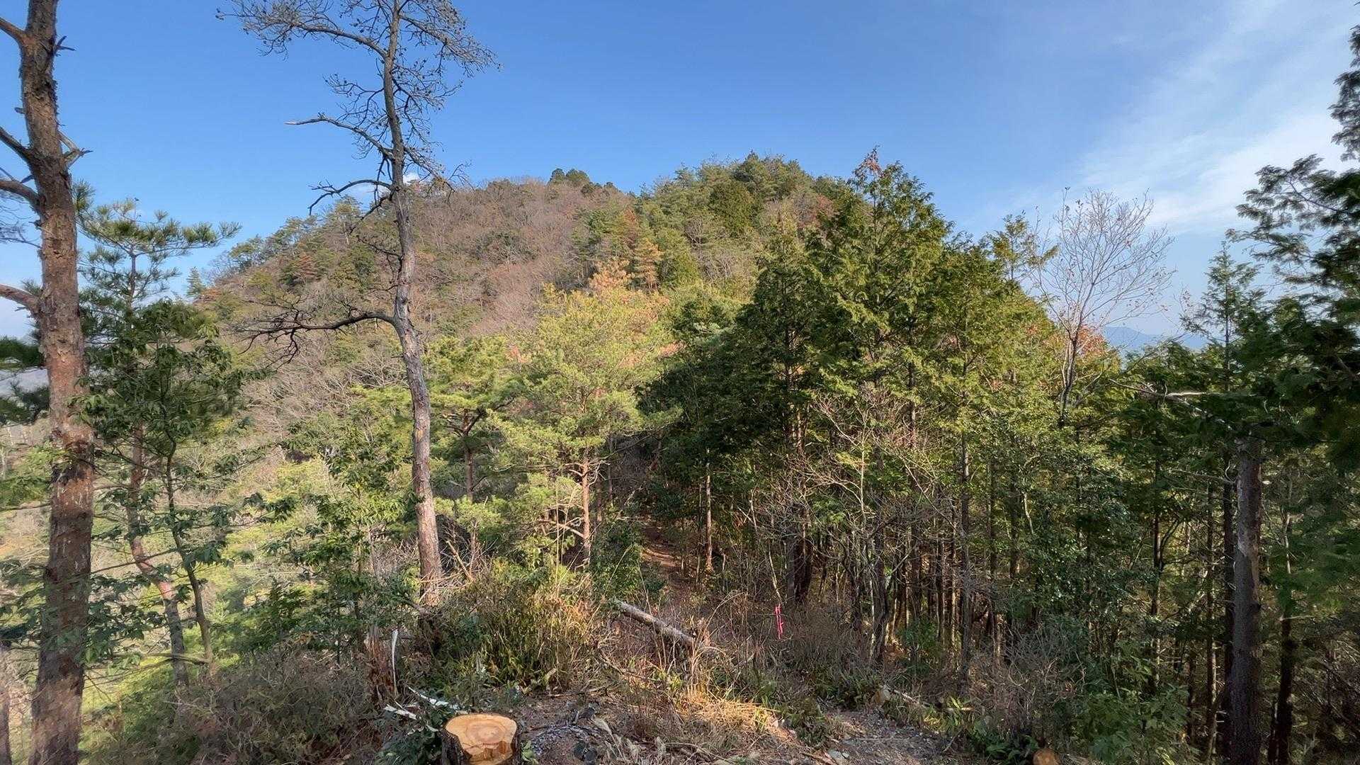山之上富士の山容。こうして近づくと三角じゃなくなります。