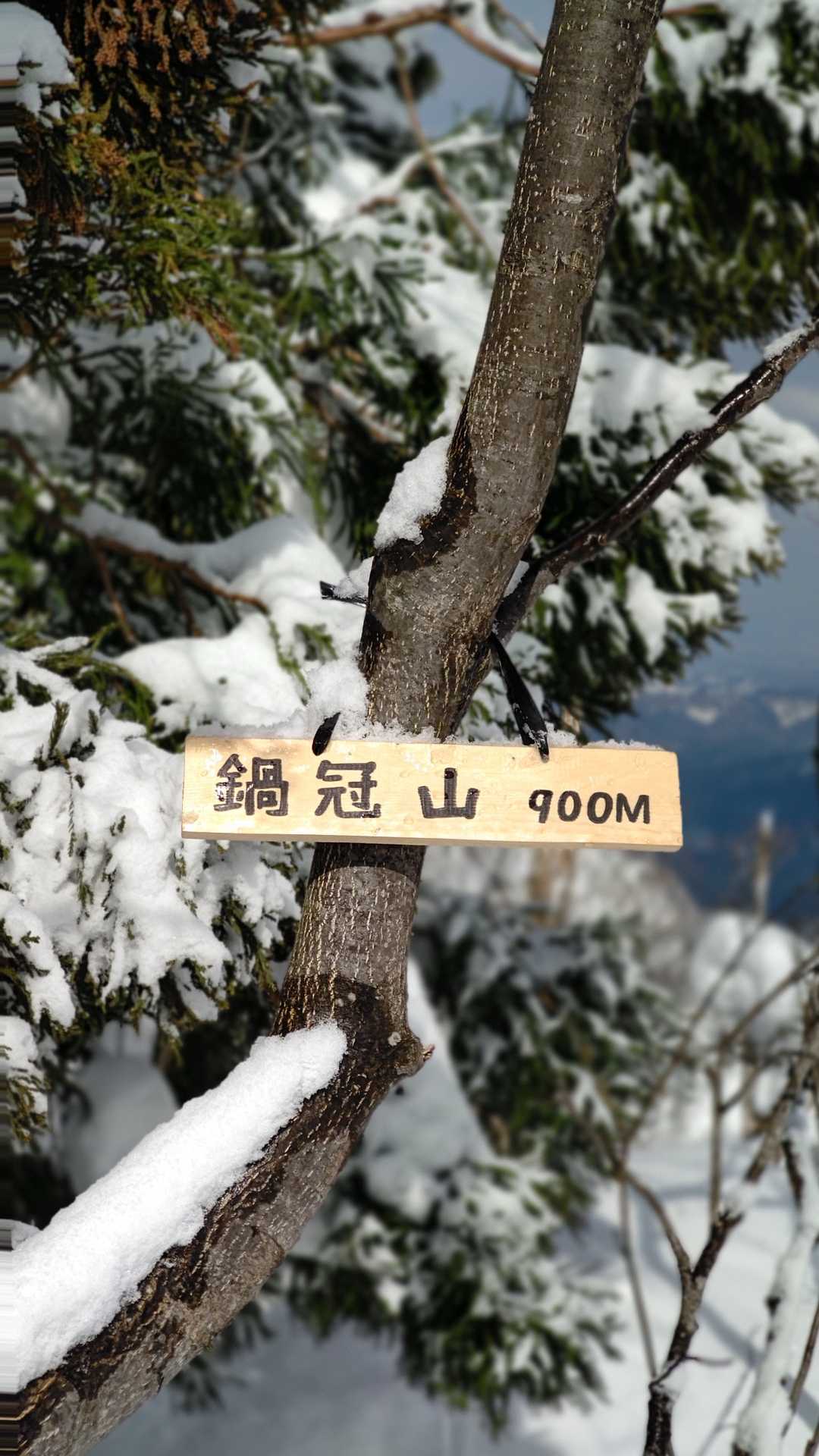 はい とうちゃこ笑
シンプルで素敵な看板がありました✨
