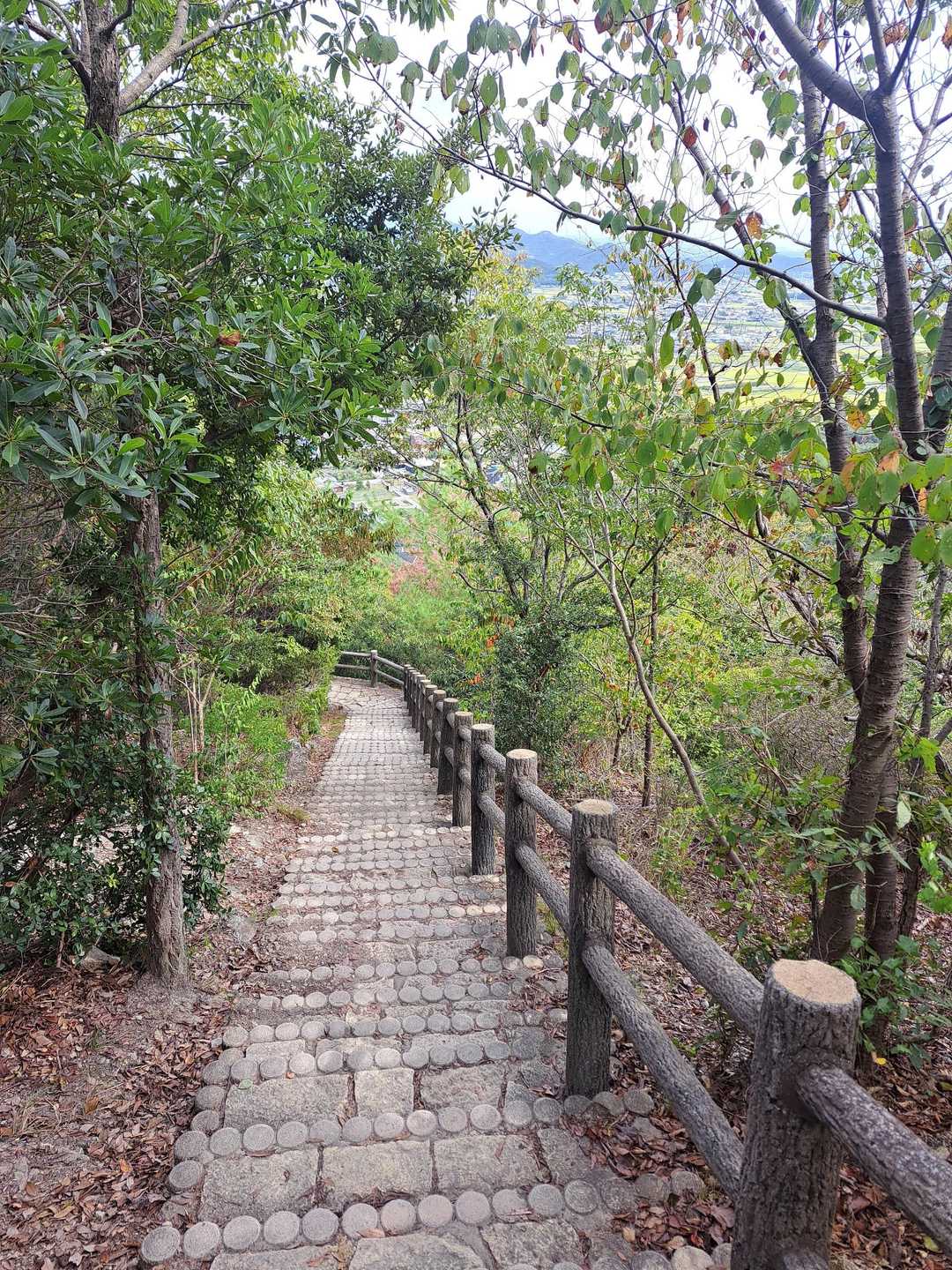 下りの階段がきついと､相方さんが言っておりました😁