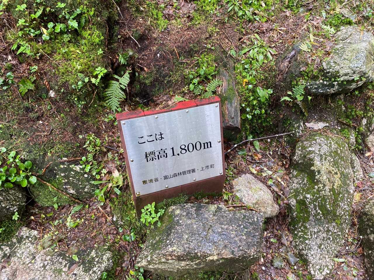 1800m