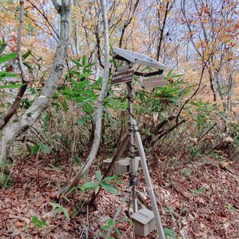 登山者確認
センサーです。
行きは、分からなかった🤣