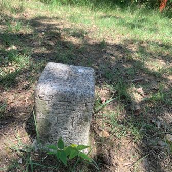 カタクリ山到着。
でも三角点はありました。
四等三角点
点名：三毳