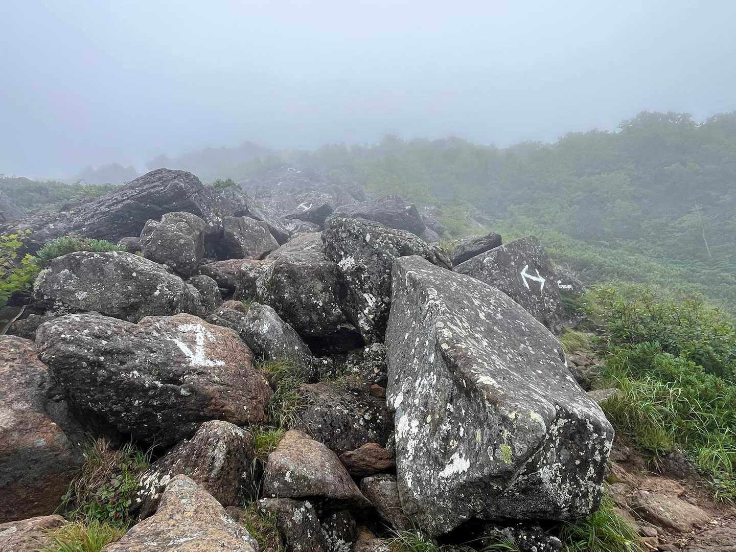 写真じゃよく分からないけど、このゴロゴロ石を登ってくのかなり大変😤
一気に体力奪われた😬