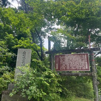 山頂は風が抜けて涼しくて心地よい〜😚