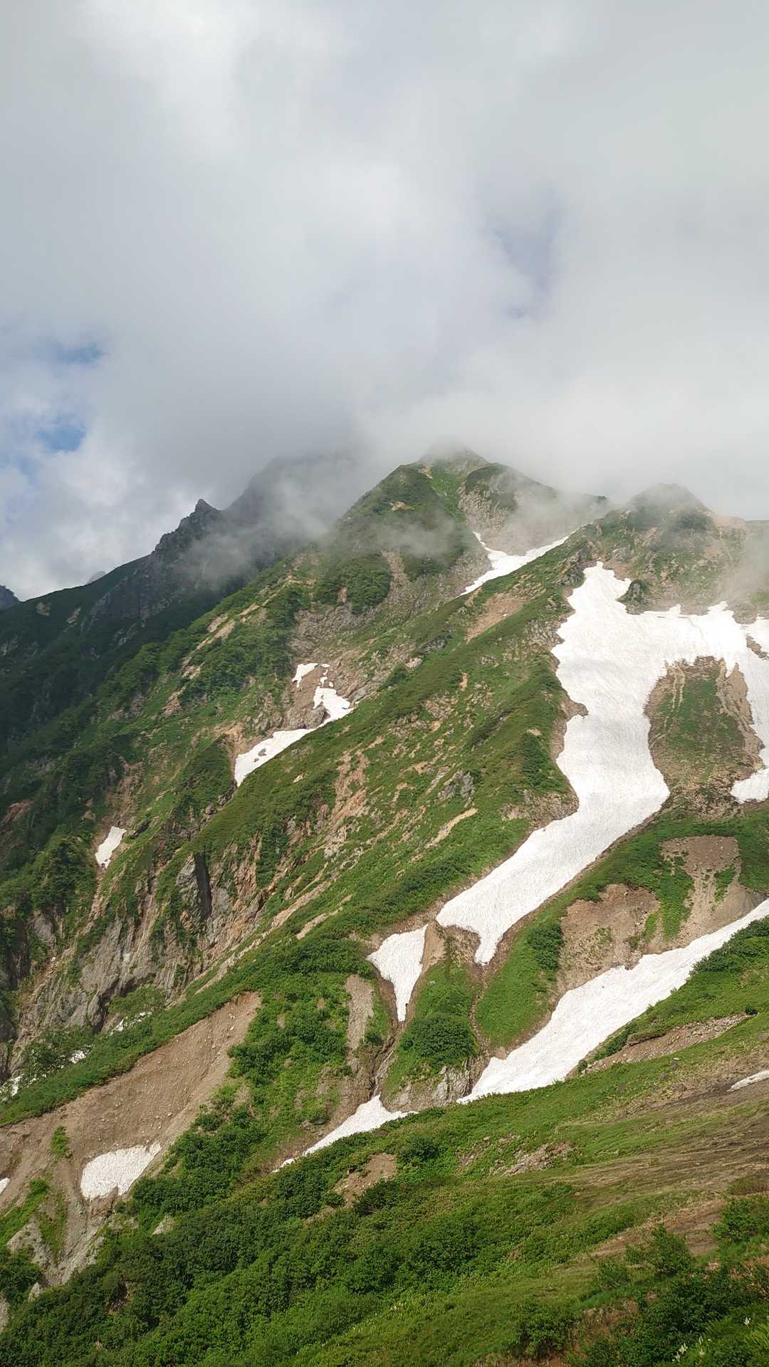 白岳-西遠見山-大遠見山-中遠見山-地蔵の頭-アルプス平駅 縦走コースの写真