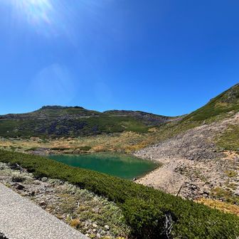 鶴ヶ池も美しい🤩