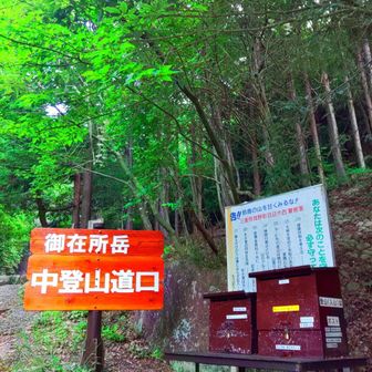 中道登山口
また登り直します