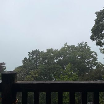 林道に出たくらいですぐにバテて
めまいがしてしまい、離脱…🤦🏻‍♀️
すっかり体力が低下してしまいました。

しかも雨は止むどころかどんどん強まる…

休憩がてら東屋で雨宿り