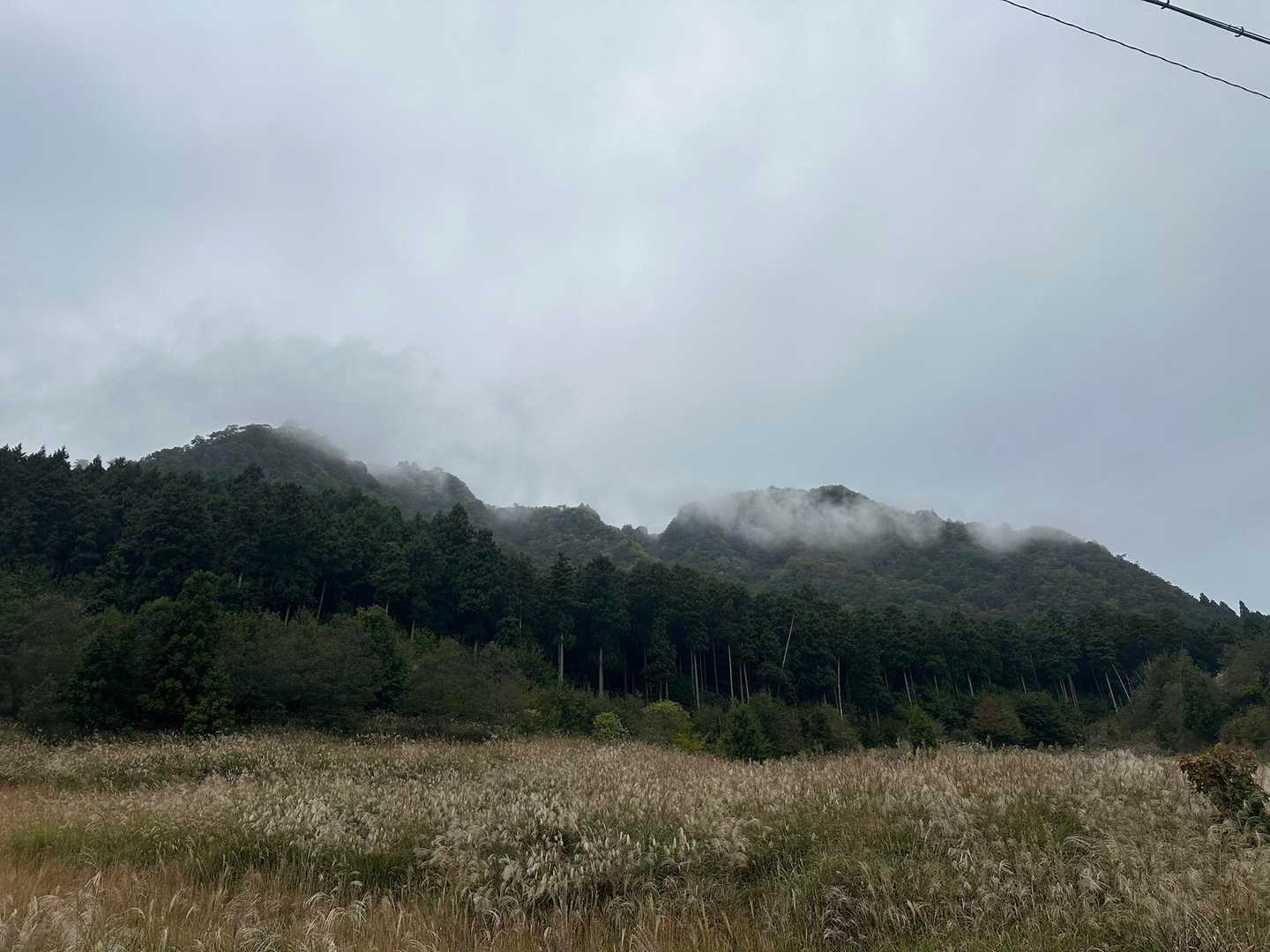 後古光山-古光山-亀山-亀山峠 周回コースの写真