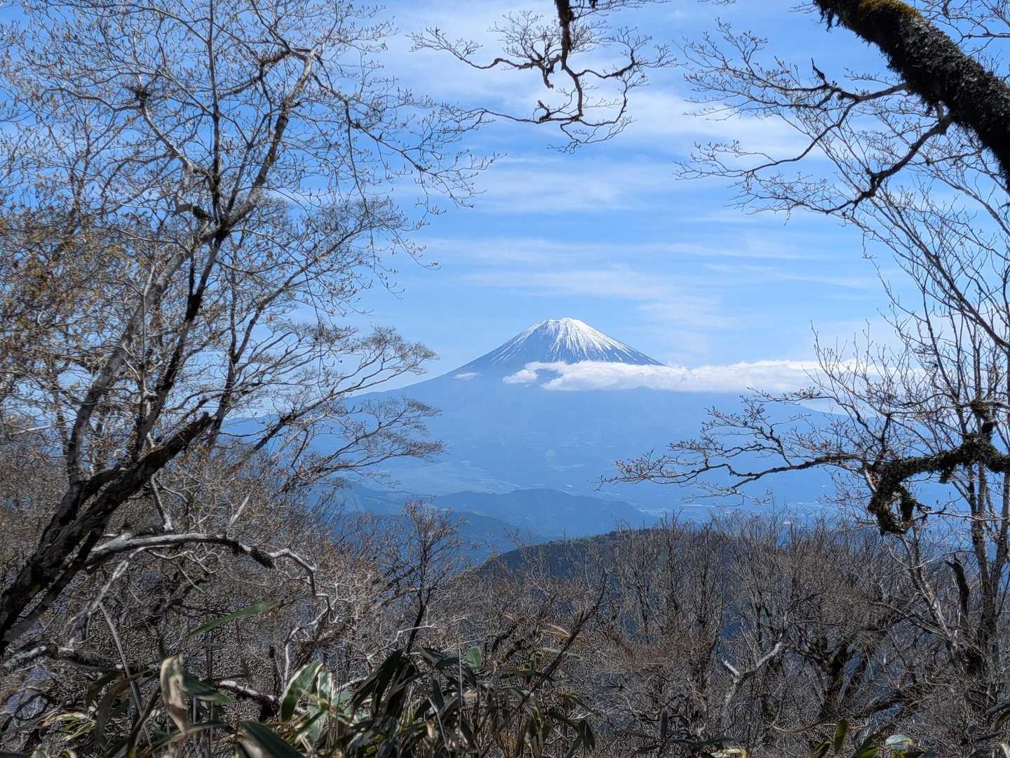 今日の富士山も美しい
