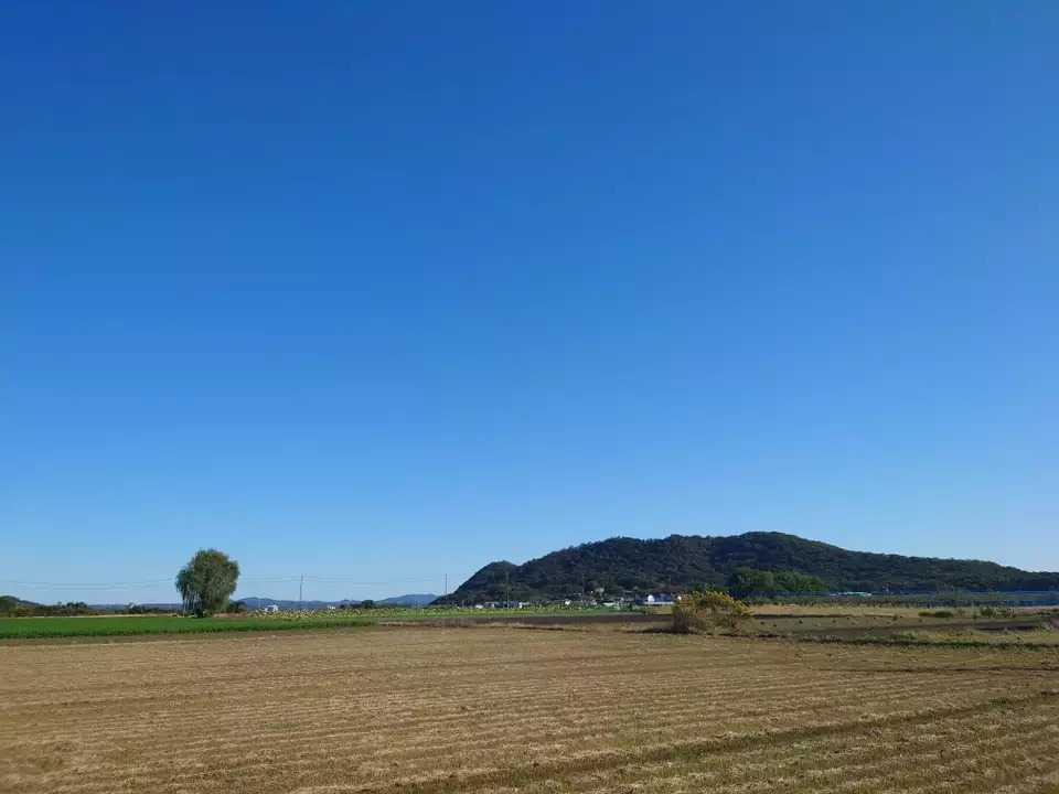 伊木山の写真