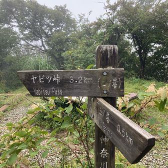 まず二ノ塔⛰️