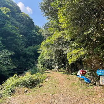 満車だった