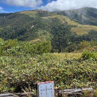 五光岩ベンチまで来ました！
晴れてきました☀️