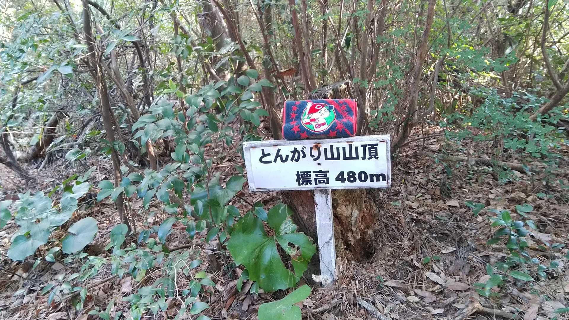 さすが「とんがり」山だった😣