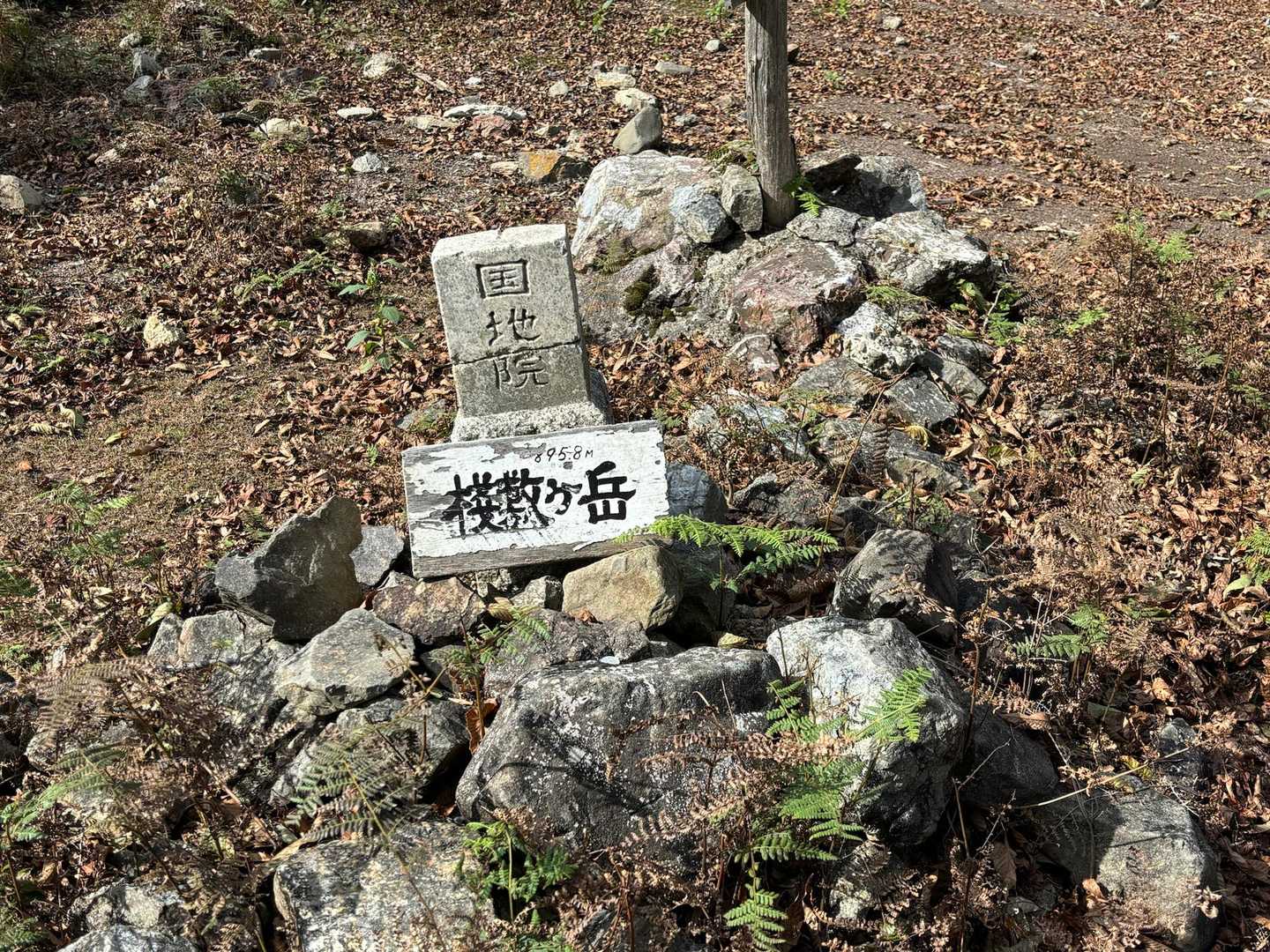 京都100座目、桟敷ヶ岳⛰️登頂👍