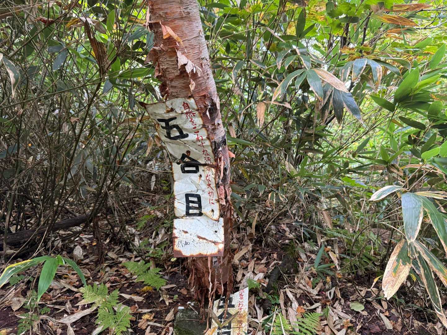 五合目　「自然をこわすな汚すな大切に」