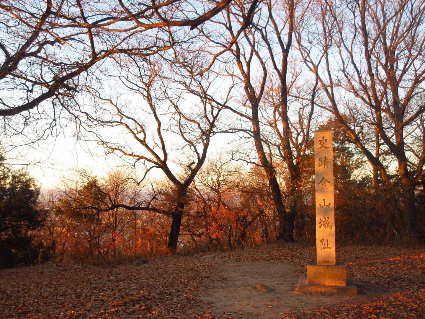 彦七山山頂(標高184m)