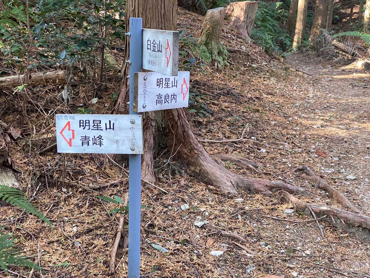 山頂への道をチョイス。
私は「近道　急登あり」で。