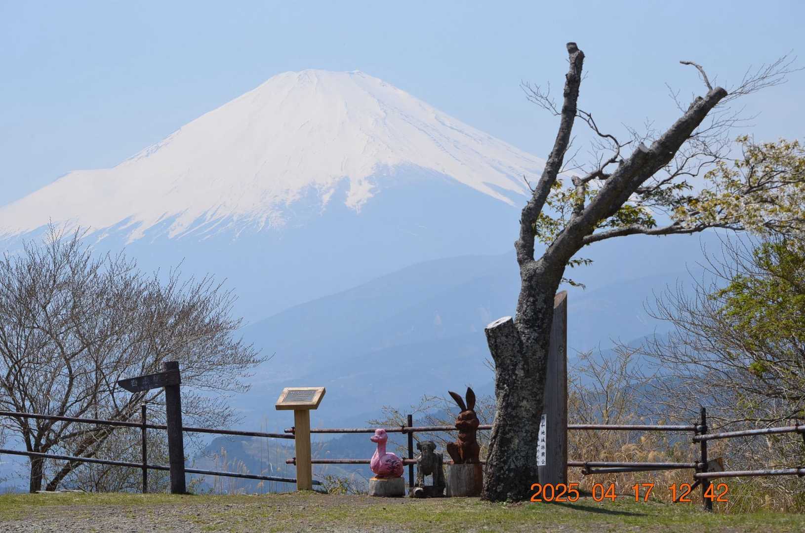 山頂と富士山がデカい⁉️