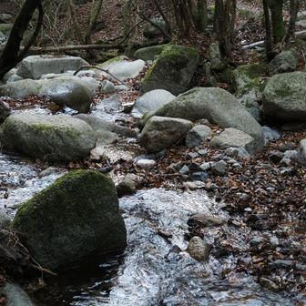 渡渉する沢の様子