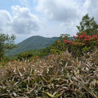 高天原