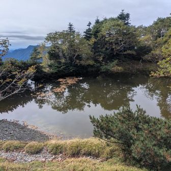 仁田池
