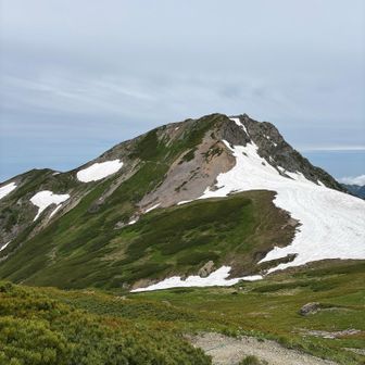 白馬岳 / さくさくの登山データ | YAMAP / ヤマップ