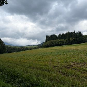 この辺怖い、熊でそう🐻